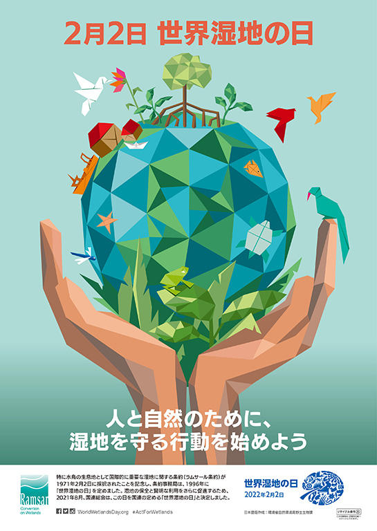 ラムサール条約の国内実施と地域政策 地域連携・協働による条約義務の実質化  /成文堂/中央学院大学社会システム研究所（単行本（ソフトカバー）） ラムサール条約とは | 出水ラムサールナビ