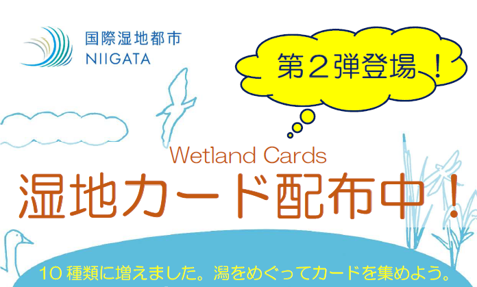 湿地カード」第2弾（4種類）を追加しました！ | ラムサール条約登録